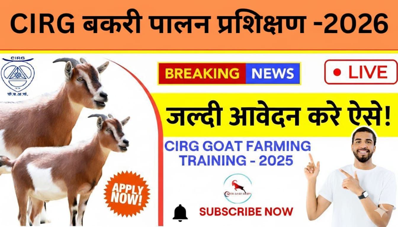 CIRG बकरी पालन प्रशिक्षण 2026: सफल बकरी पालन व्यवसाय की ओर पहला कदम